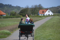 /album/die-rader/bildschirmfoto-2024-05-04-um-20-02-31-png1/